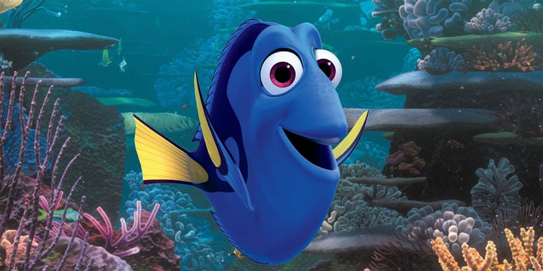 Alla ricerca di Dory