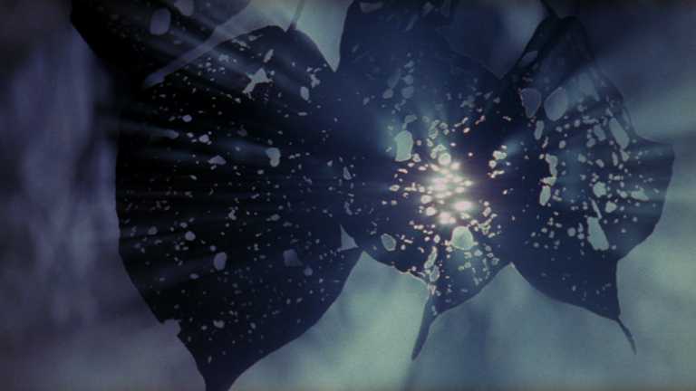Terrence Malick: un video mostra la sua influenza nel cinema di altri registi Terrence Malick: un video mostra la sua influenza nel cinema di altri registi
