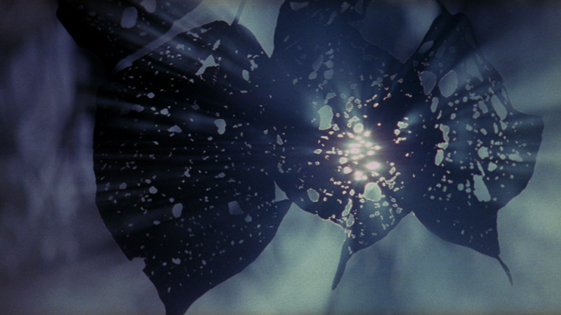 Terrence Malick