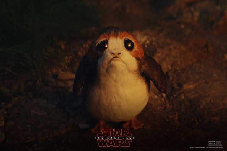 Star Wars: Gli Ultimi Jedi, un adorabile Porg nella nuova foto ufficiale Star Wars: Gli Ultimi Jedi, un adorabile Porg nella nuova foto ufficiale