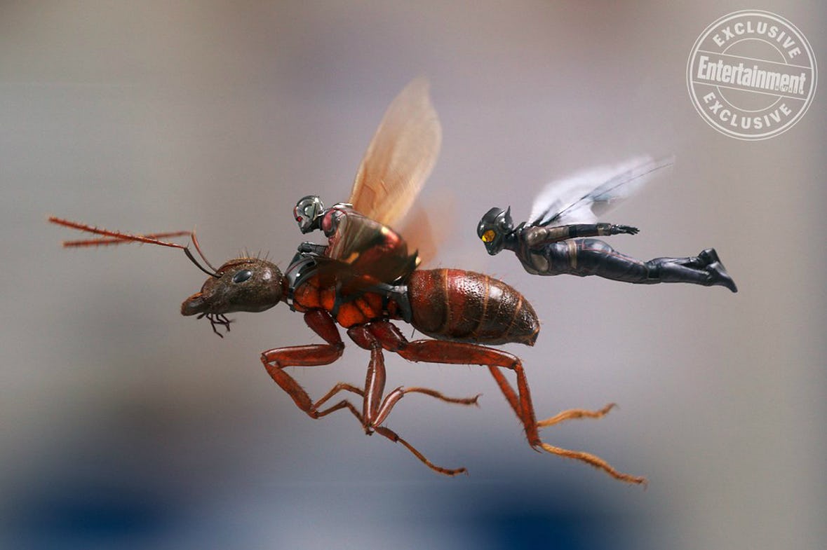 Ant-Man and the Wasp