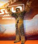 Chewbacca_3