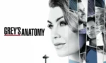 Grey's Anatomy 14