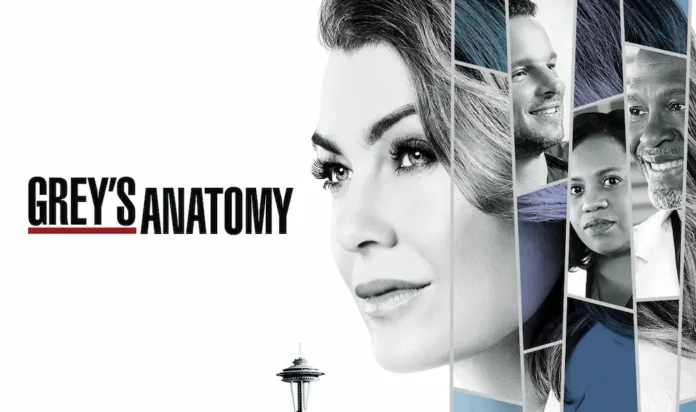 Grey's Anatomy 14