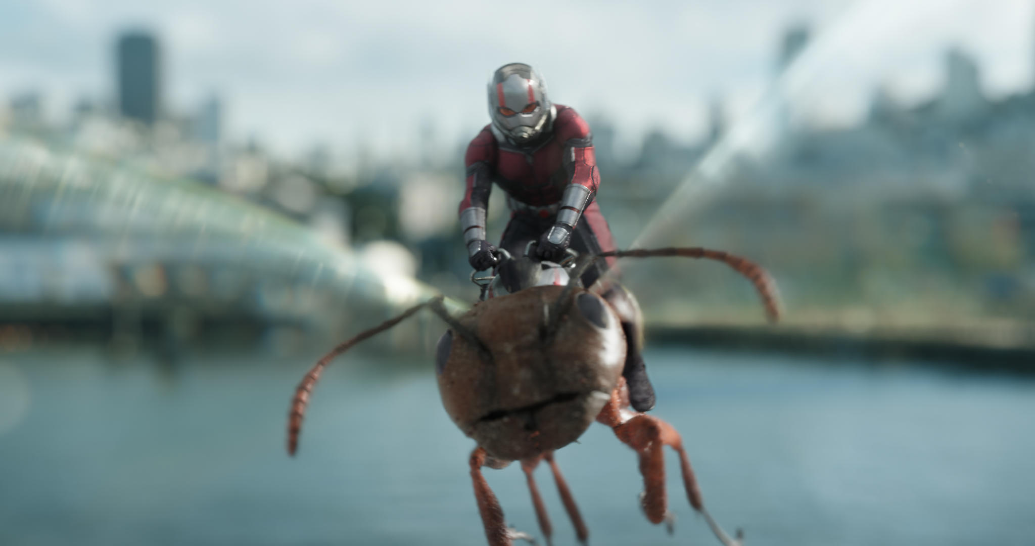 ant-man and the wasp