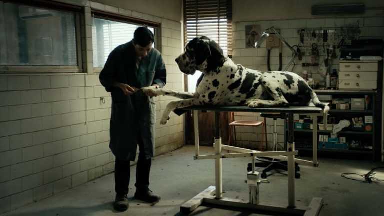 Dogman: prime due clip dal film di Matteo Garrone