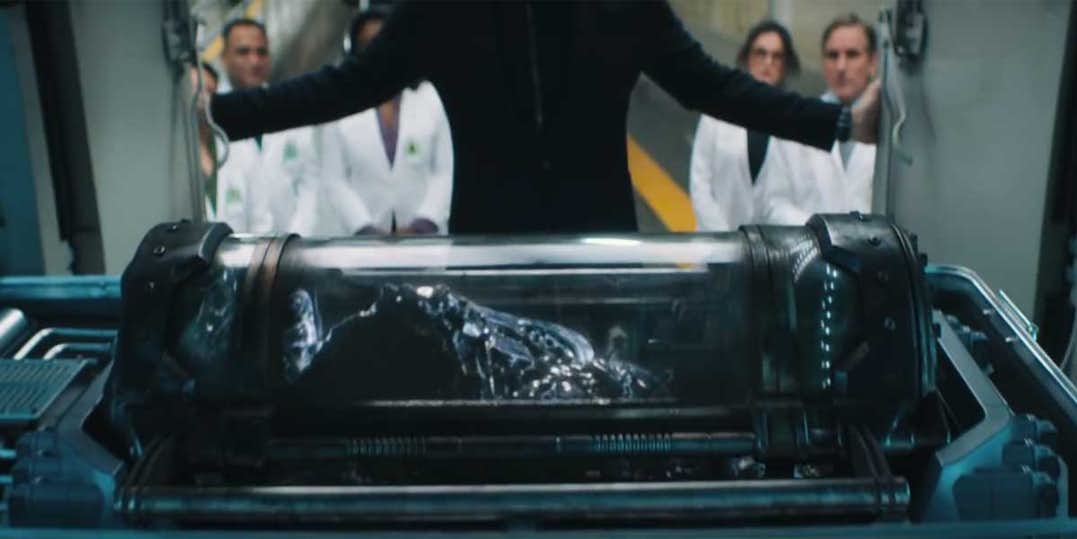 venom