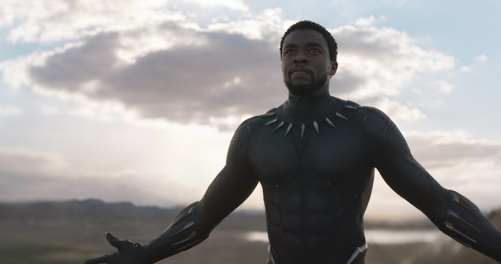 chadwick boseman Black Panther 2