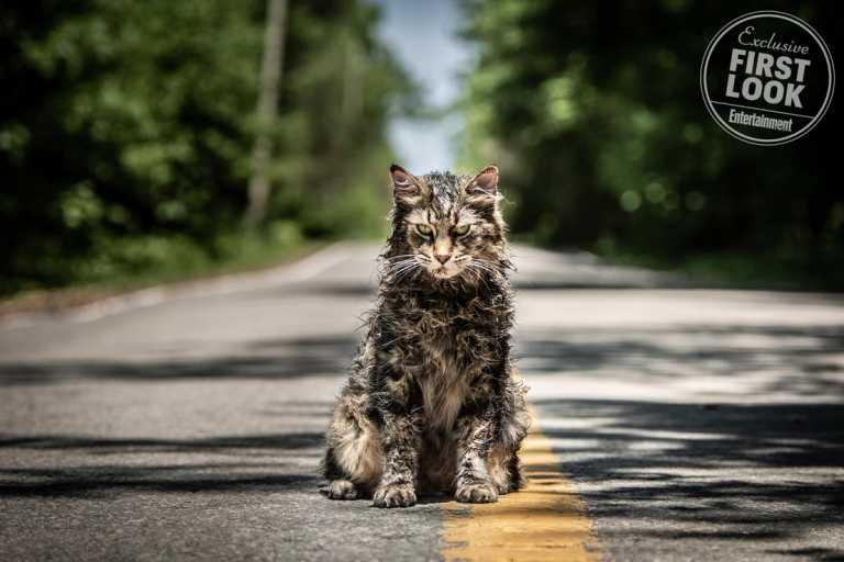 Pet Sematary: le prime immagini dal nuovo adattamento di Stephen King Pet Sematary: le prime immagini dal nuovo adattamento di Stephen King