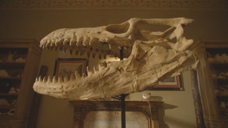 Dinosaurs: 10, 11 e 12 dicembre al cinema, una clip in esclusiva