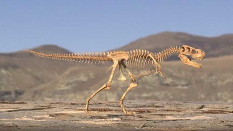 Il cacciatore di Dinosauri a Natale su National Geographic