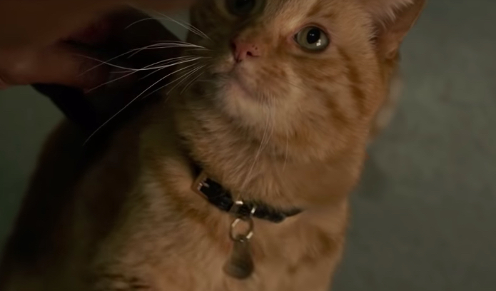 captain marvel