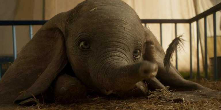 Dumbo: 8 differenze tra classico e live action