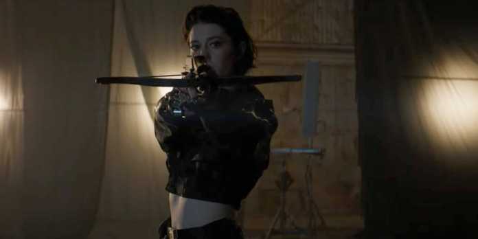 birds of prey