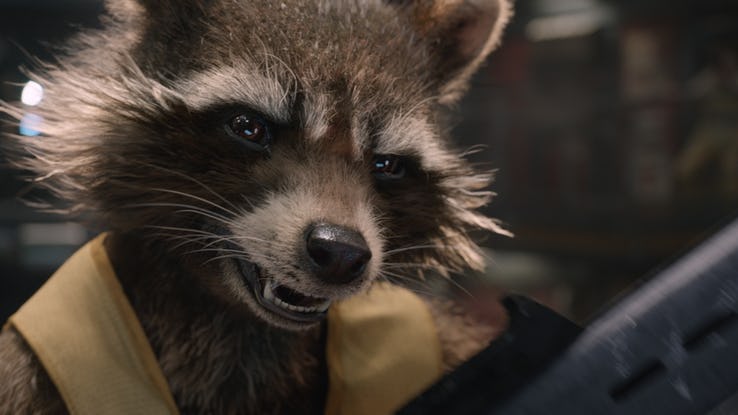 Rocket Raccoon: un ex dirigente Marvel dubbioso su Bradley Cooper