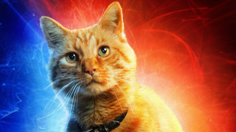 Captain Marvel: tutti i segreti sul gatto Goose