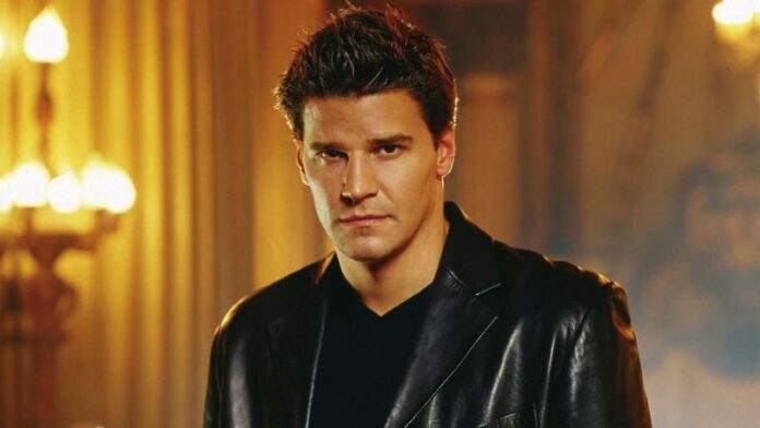 David Boreanaz Angel