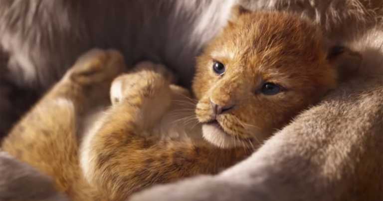 Il Re Leone: la Nala di Beyonce parla nel nuovo spot