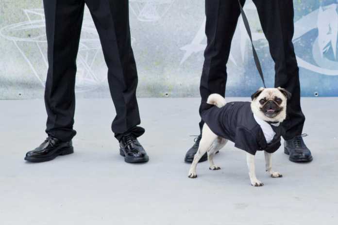 Men In Black: International