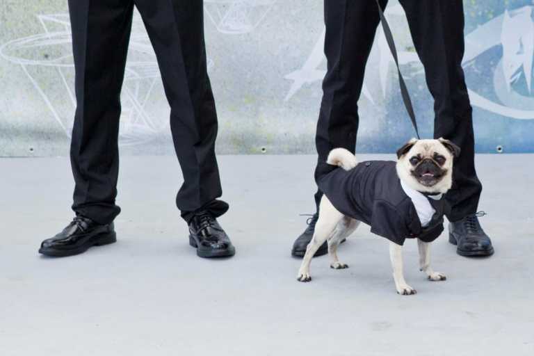 Men In Black: International apre il Giffoni Film Festival