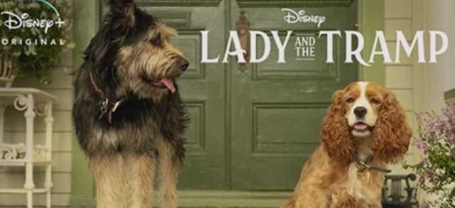 Lilli e il Vagabondo: le prime foto del live action Lilli e il Vagabondo: le prime foto del live action