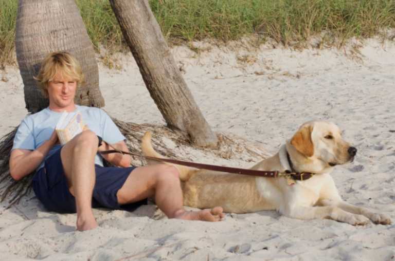 Film sui cani: l’elenco completo dei migliori film sui cani