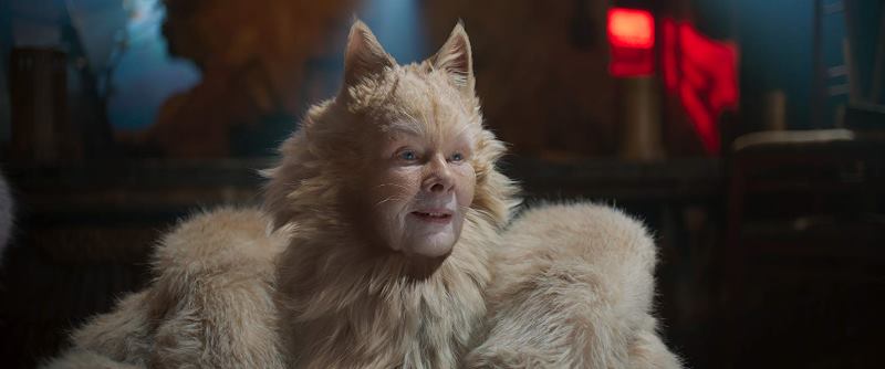 judi-dench-cats