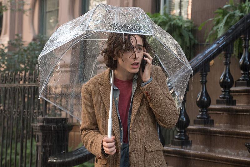un-giorno-di-pioggia-a-new-york-timothée-chalamet