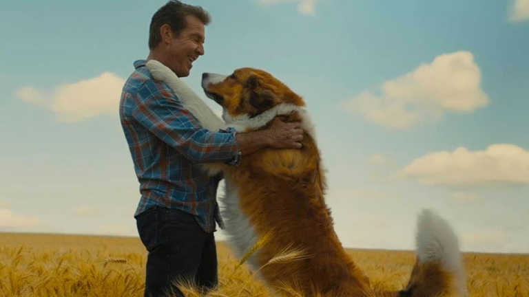 Qua la Zampa 2 – Un amico per sempre – Film (2020) Qua la Zampa 2 – Un amico per sempre – Film (2020)