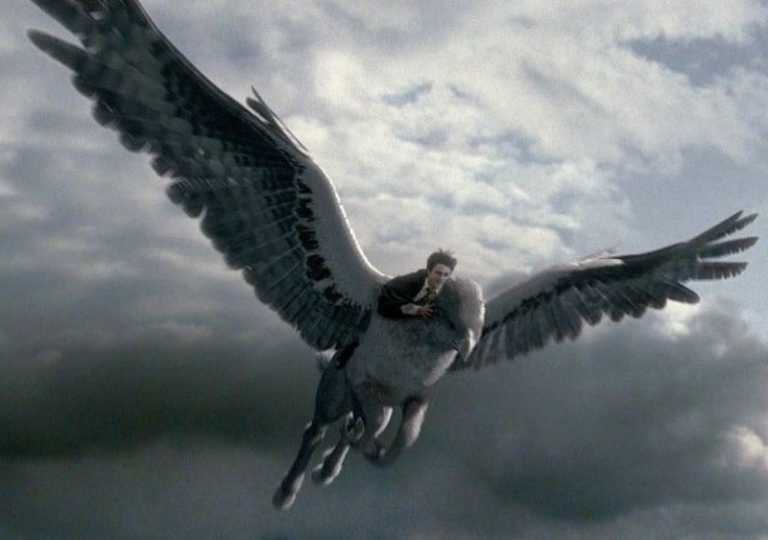 Harry Potter e il prigioniero di Azkaban: quello che non sai su Fierobecco