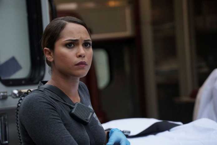 monica-raymund-film