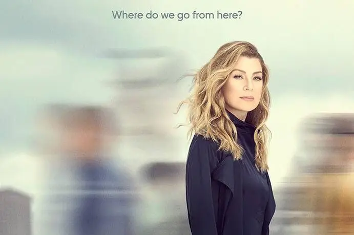 Grey's Anatomy 16