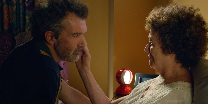 Antonio Banderas Dolor y gloria