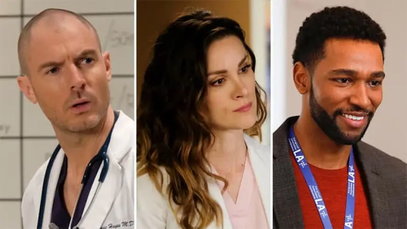 Grey's Anatomy 17