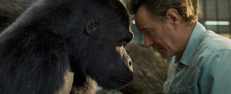 L’unico e insuperabile Ivan: la recensione del film con Bryan Cranston