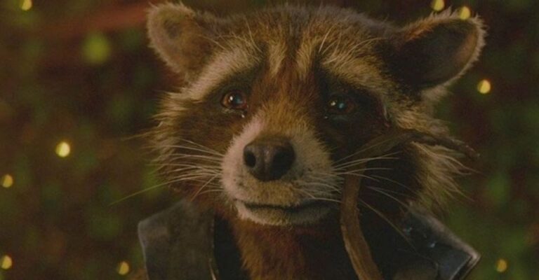 Rocket Raccoon potrebbe essere il personaggio più tragico del MCU