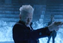 Animali fantastici - I crimini di Grindelwald film