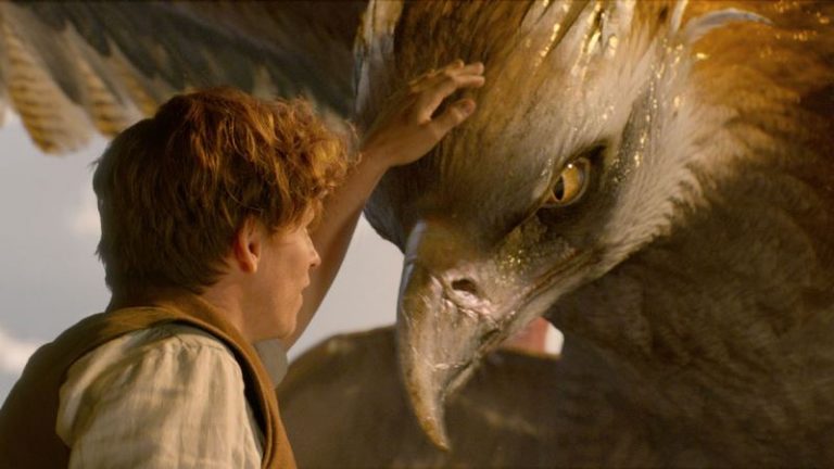 Animali fantastici e dove trovarli: libro, cast e sequel del film