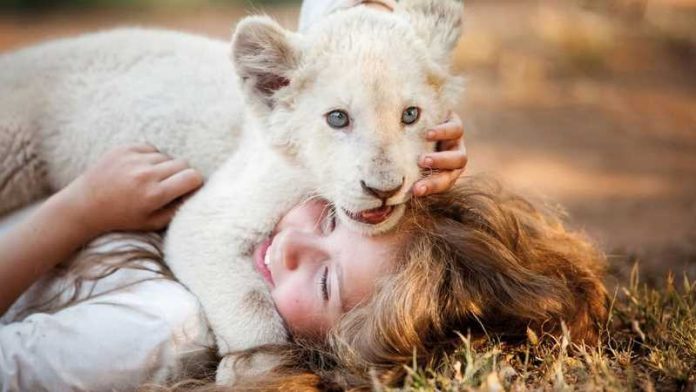 Mia e il leone bianco film