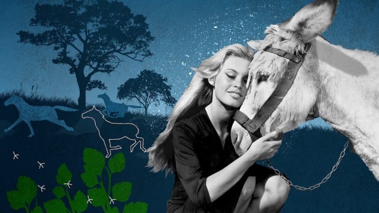 Brigitte Bardon, Eterna Ribelle dal 16 aprile alle 21.15 su Sky Arte