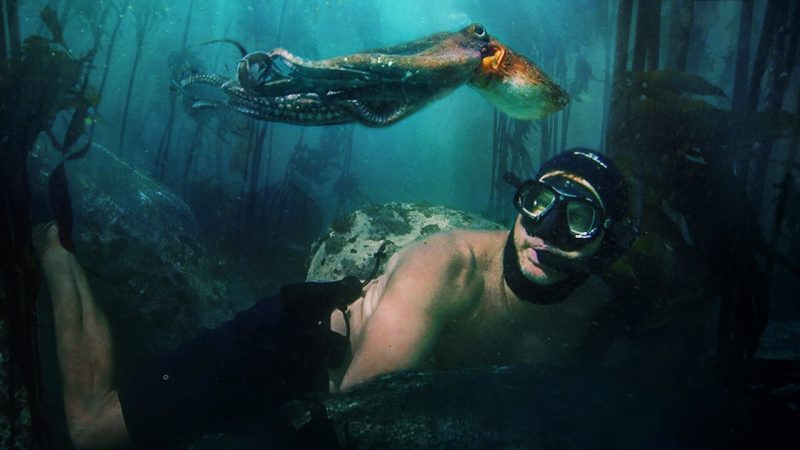 Il mio amico in fondo al mare