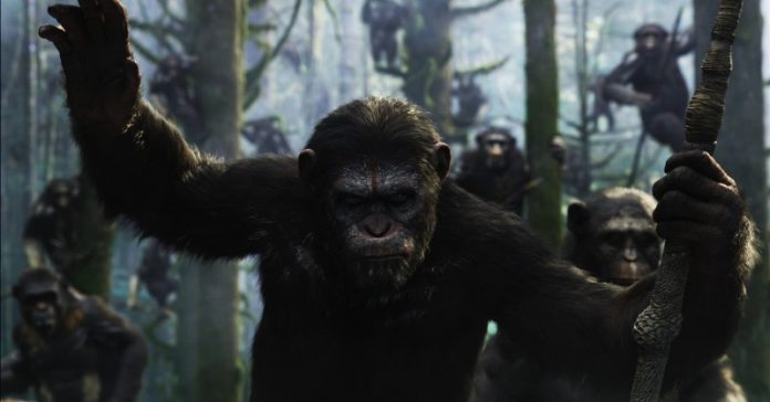 Apes Revolution - Il pianeta delle scimmie film