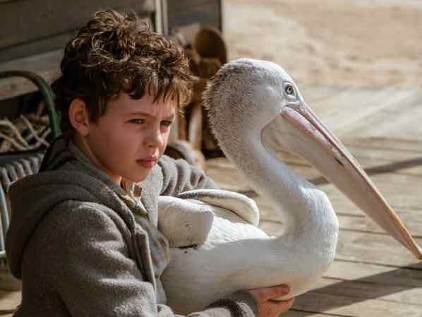 storm boy recensione