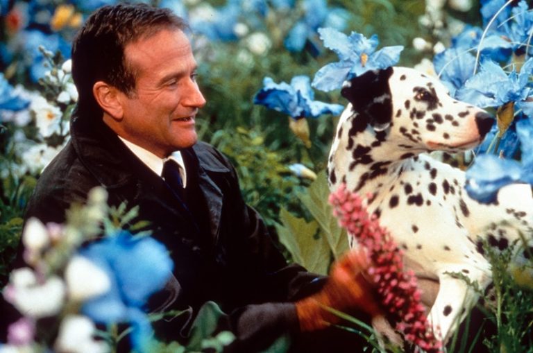 Al di là dei sogni: trama, cast e frasi del film con Robin Williams