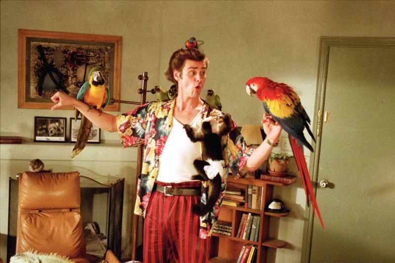 Ace Ventura - L'acchiappanimali film