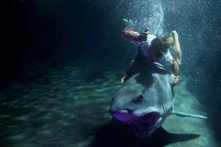 47 metri: Great White, dal 30 settembre in sala, ecco il trailer