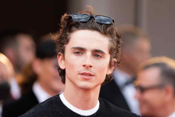 Timothee Chalamet