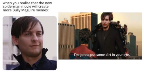 Bully-Maguire-Meme