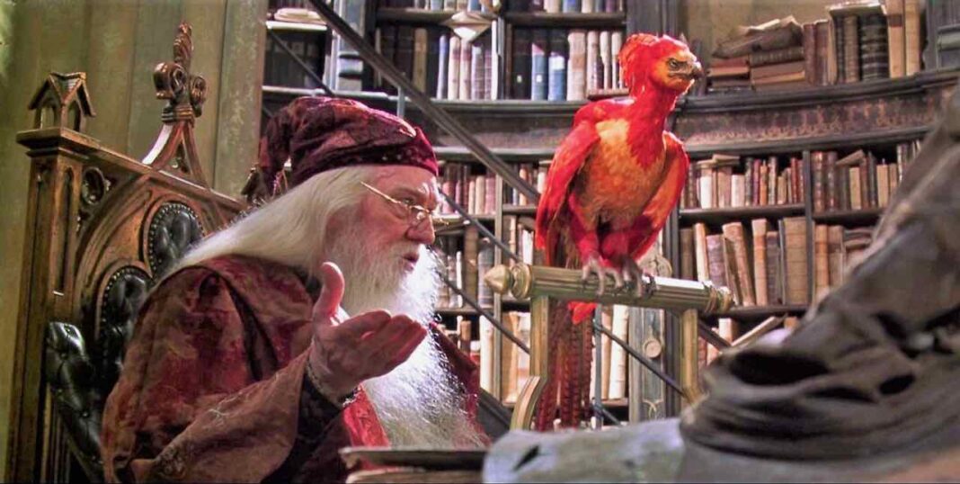 harry potter silente fanny