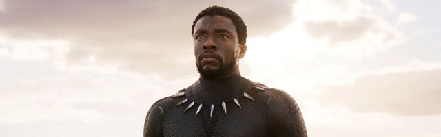 black-panther vendicatori